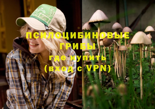 мет Алзамай