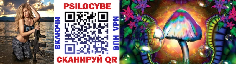 Купить закладки  Севастополь  Псилоцибиновые грибы Psilocybe 