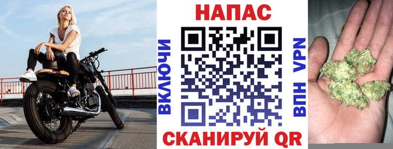 Купить где  Севастополь  Канабис VHQ 